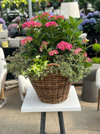 FRENCH COUNTRY WOVEN BASKET