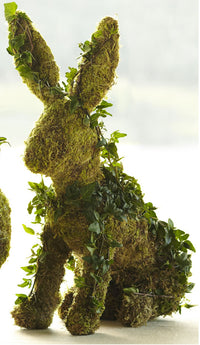 SITTING IVY BUNNY TOPIARY