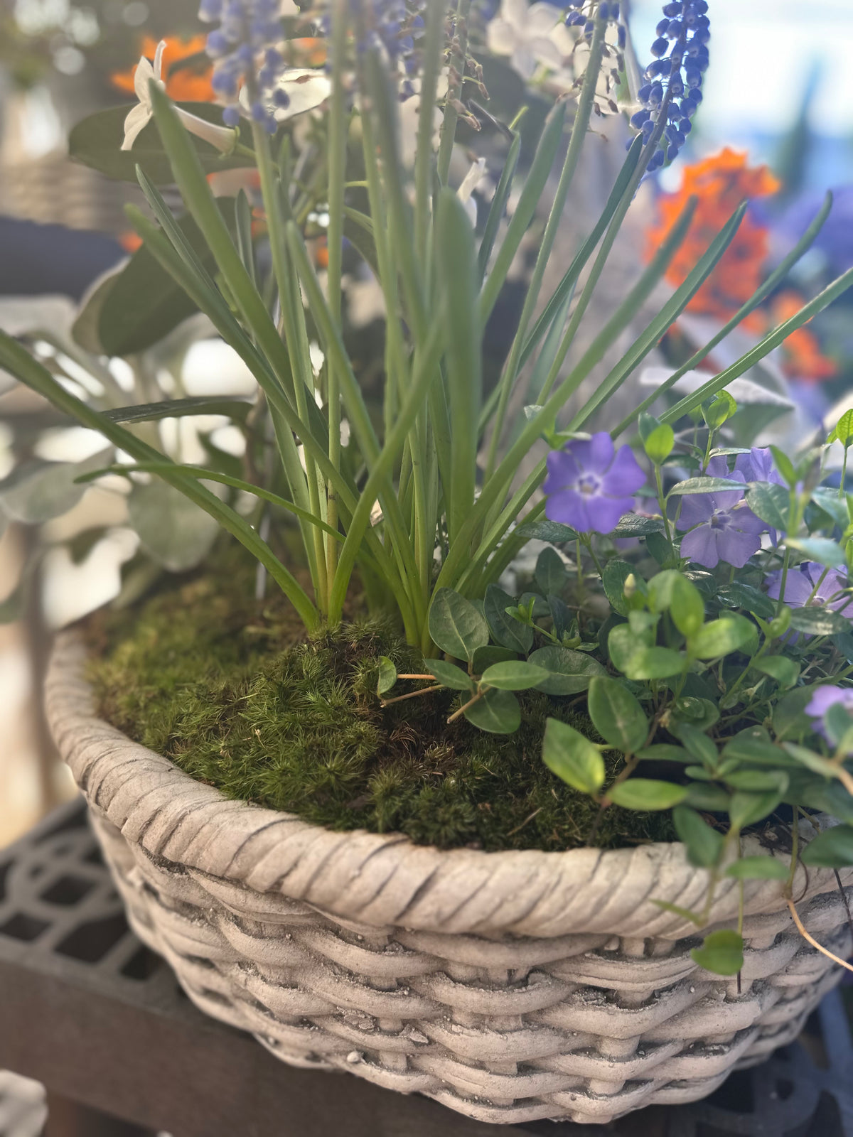 BAG OF MOOD MOSS