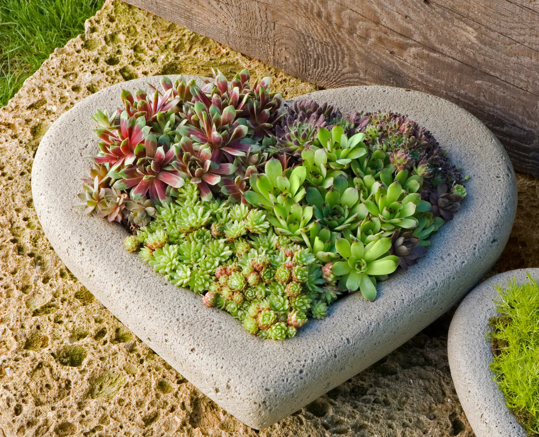 HEART PLANTER