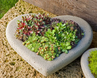HEART PLANTER