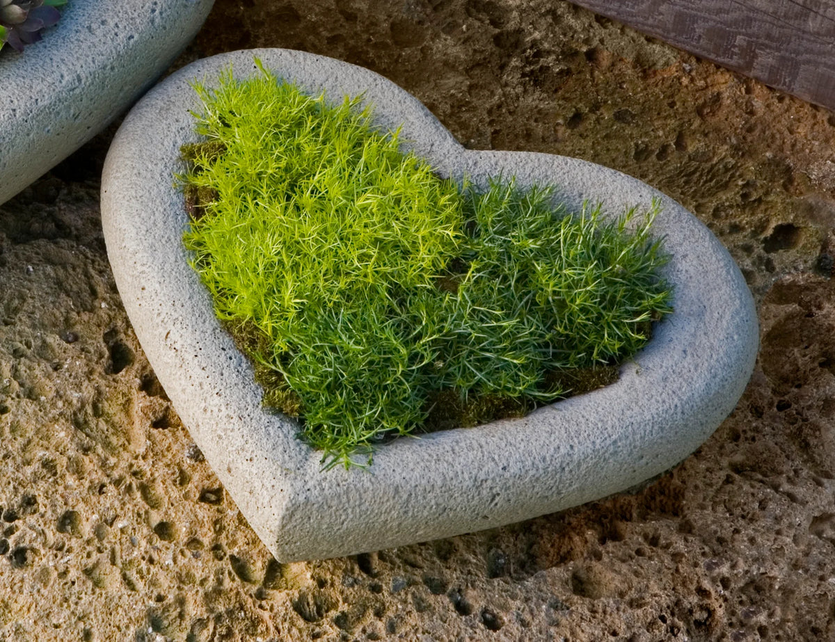 HEART PLANTER