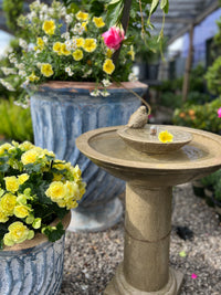 PINCIO URN SET