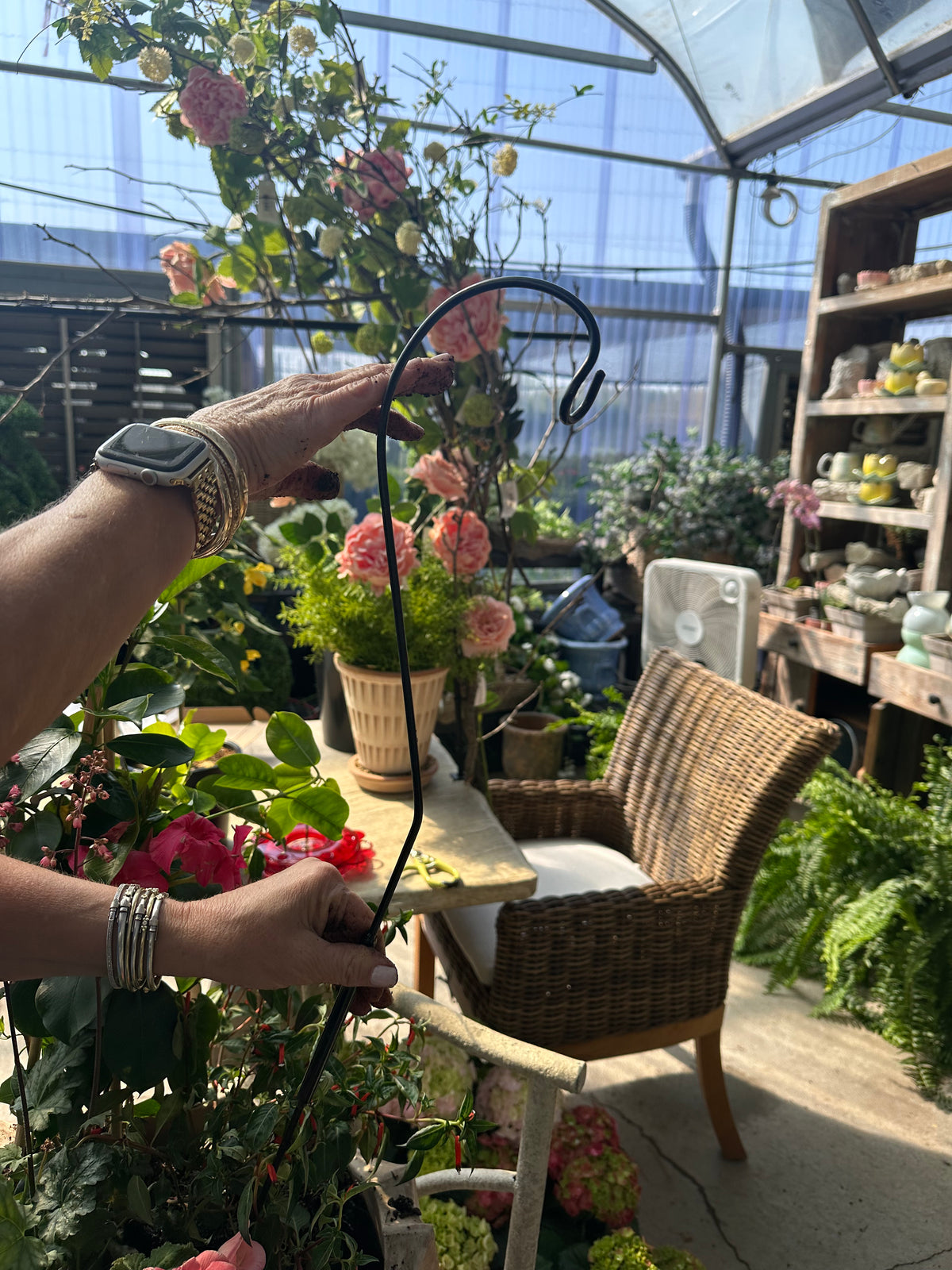 PLANT & FEEDER HOOK