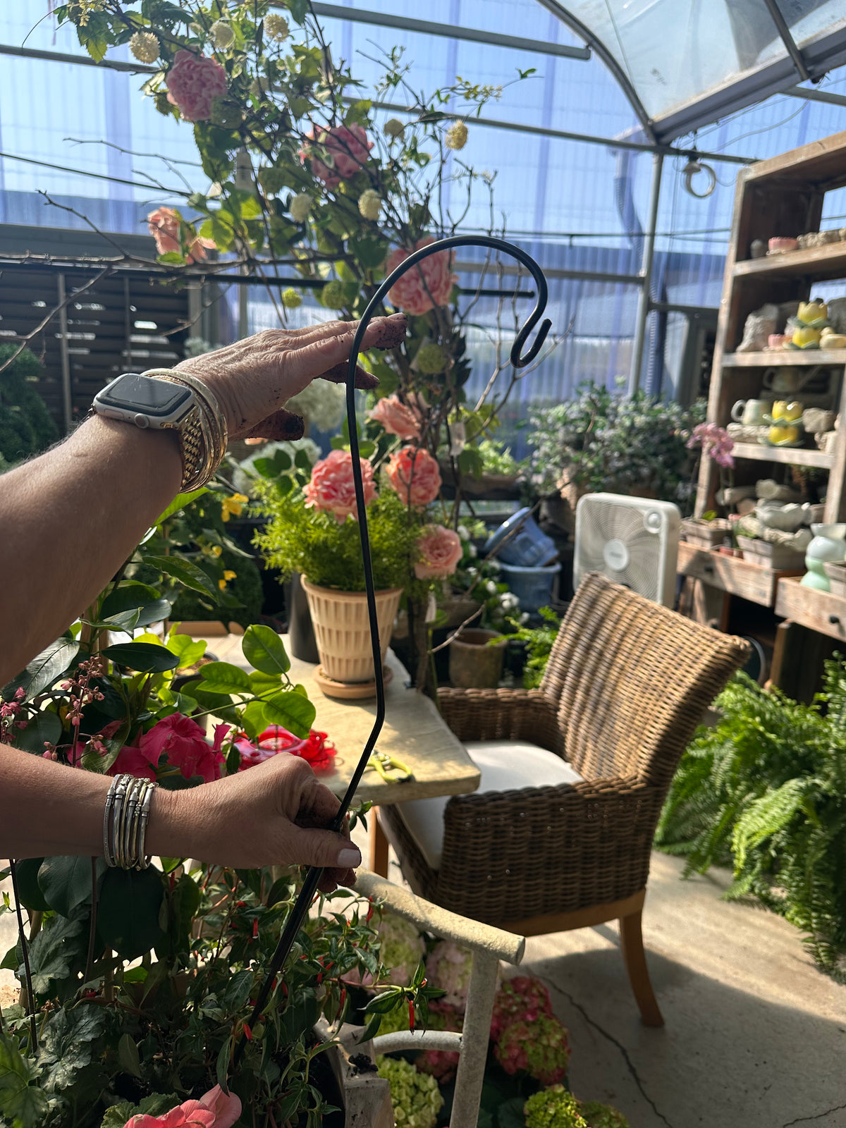 PLANT & FEEDER HOOK