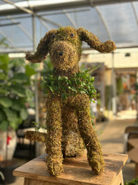 SITTING PUPPY TOPIARY