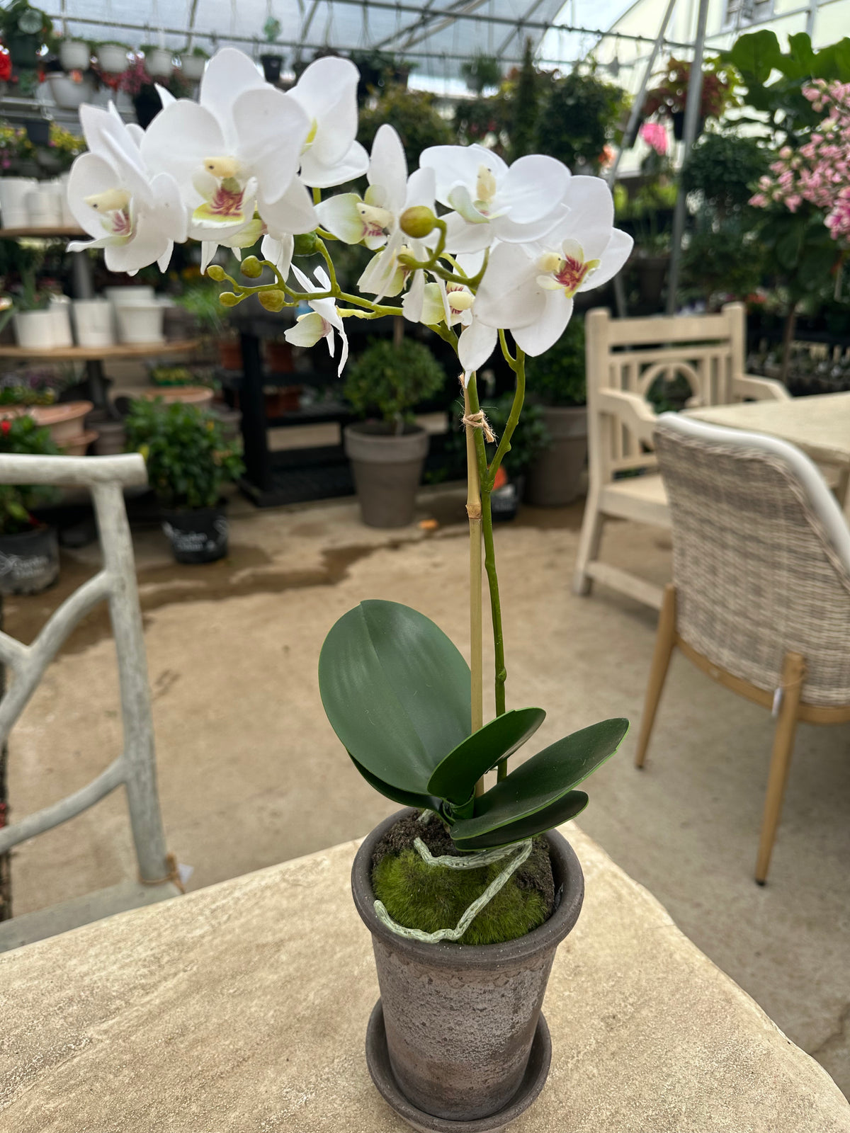 FAUX ORCHID 17" DROP IN