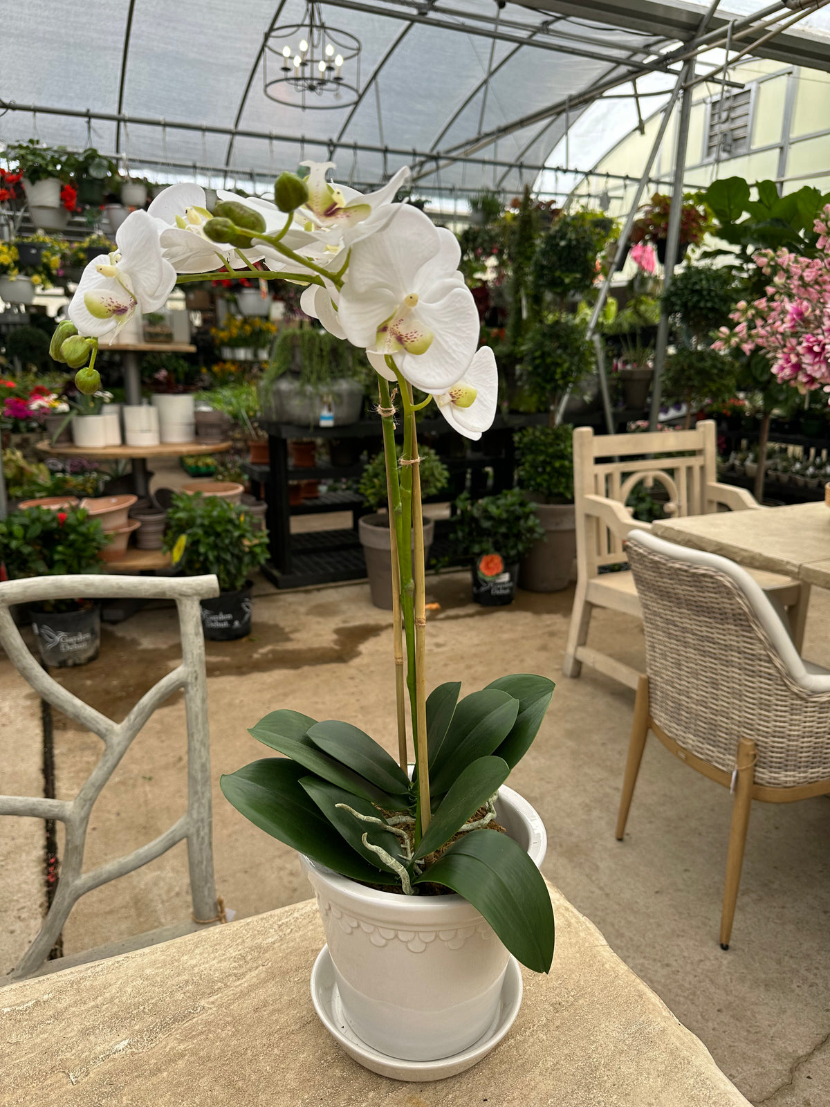 FAUX ORCHID 23" DROP IN