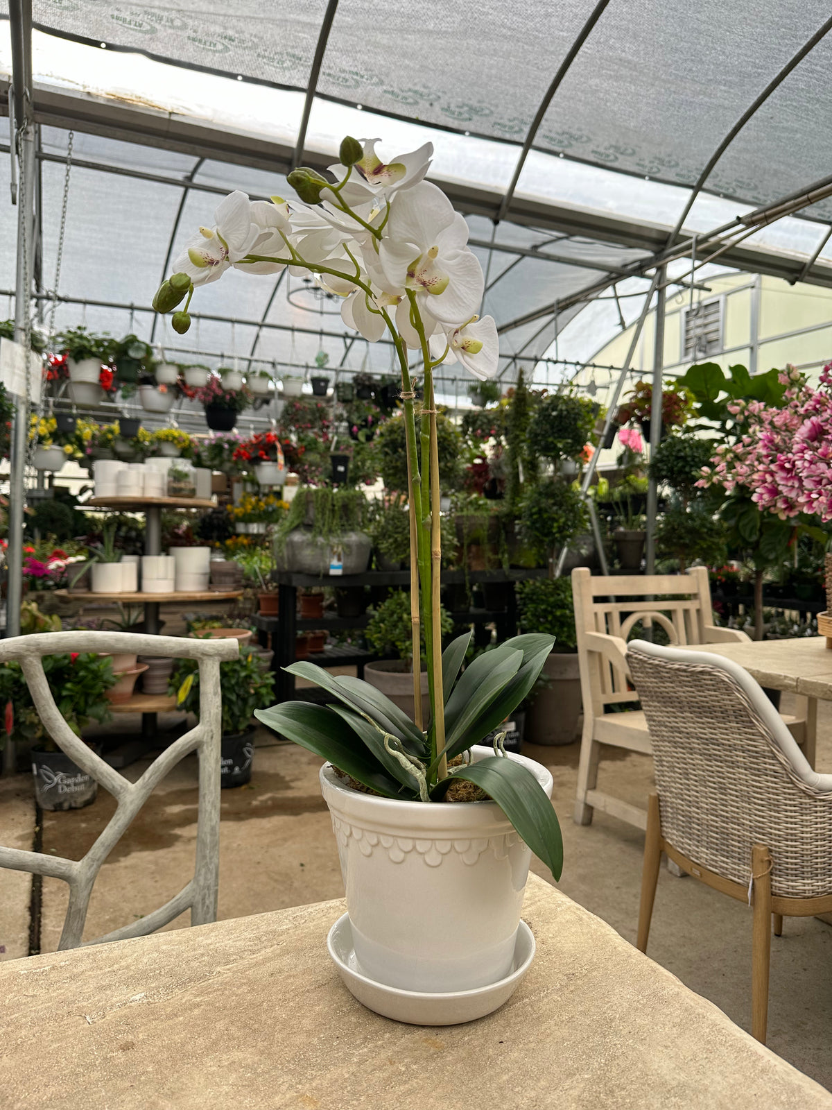 FAUX ORCHID 23" DROP IN