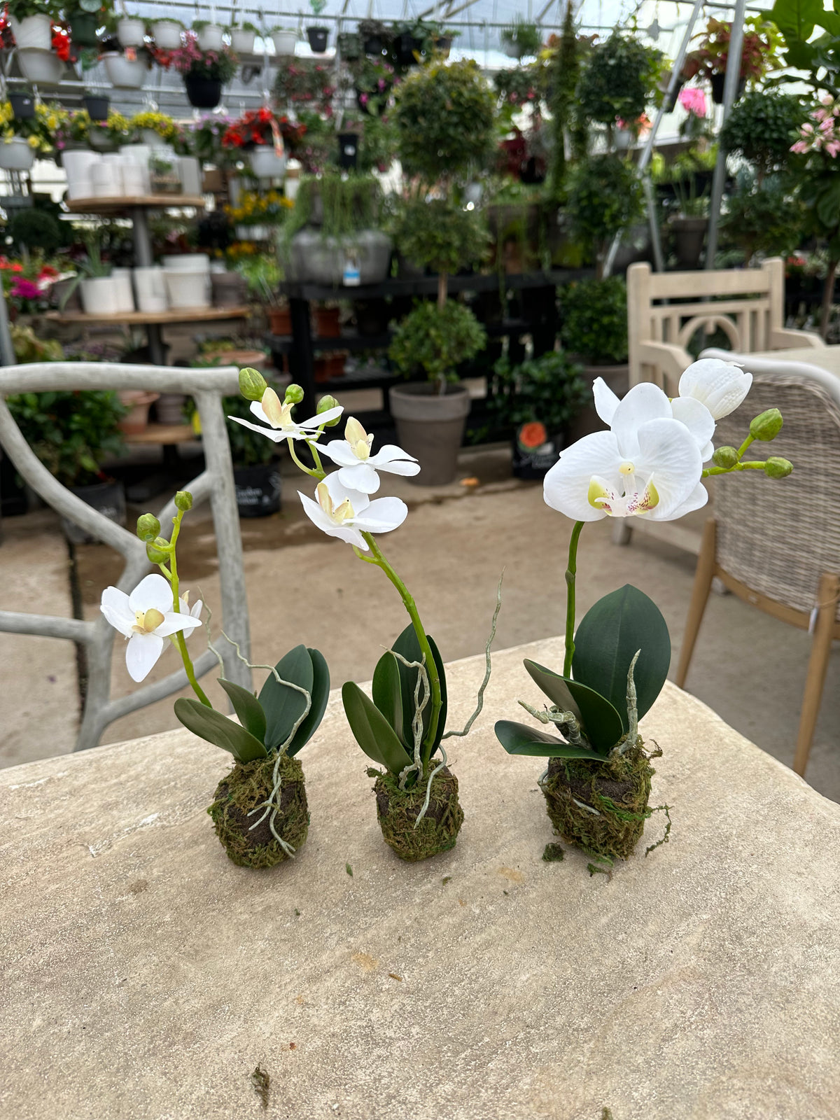 FAUX MINI ORCHID SET OF 3 DROP INS