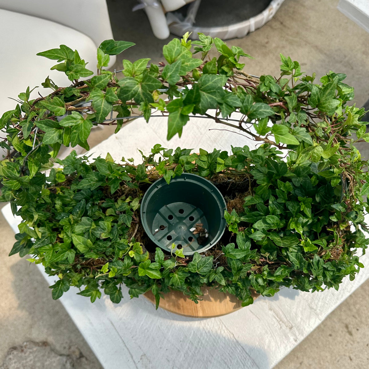 IVY TOPIARY BASKET SMALL