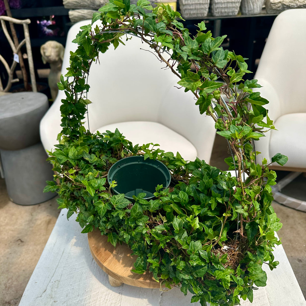 IVY TOPIARY BASKET SMALL