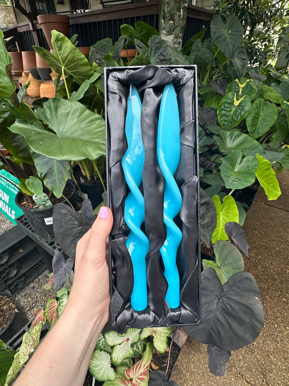 TWISTED CANDLES