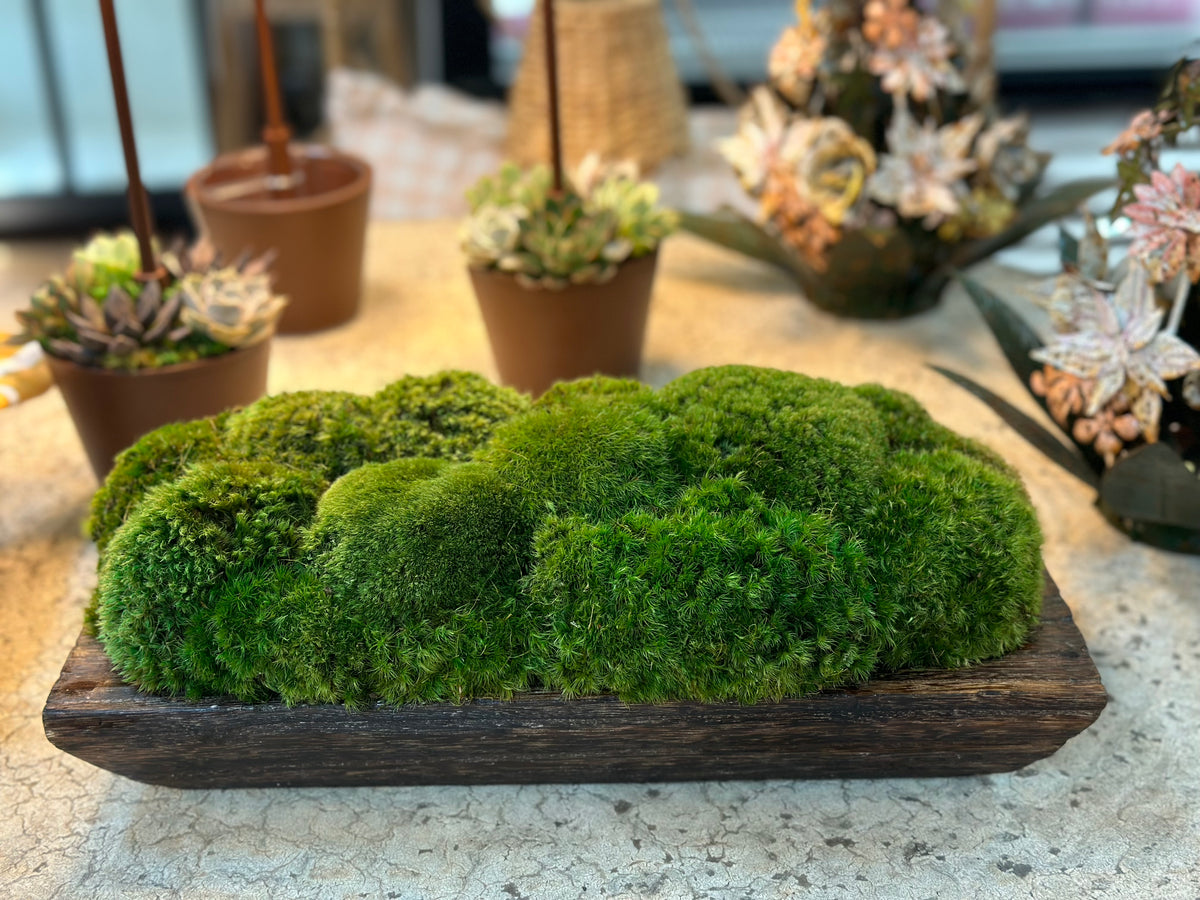 MOSS MOUND / SMALL