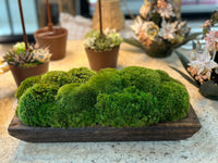 MOSS MOUND / SMALL