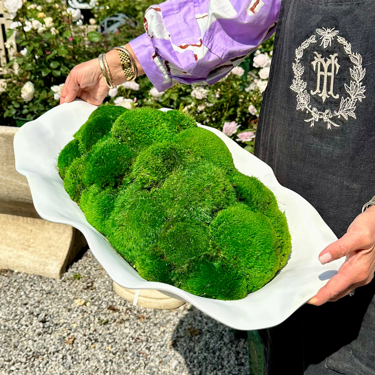VIDA NUBE MOSS MOUND