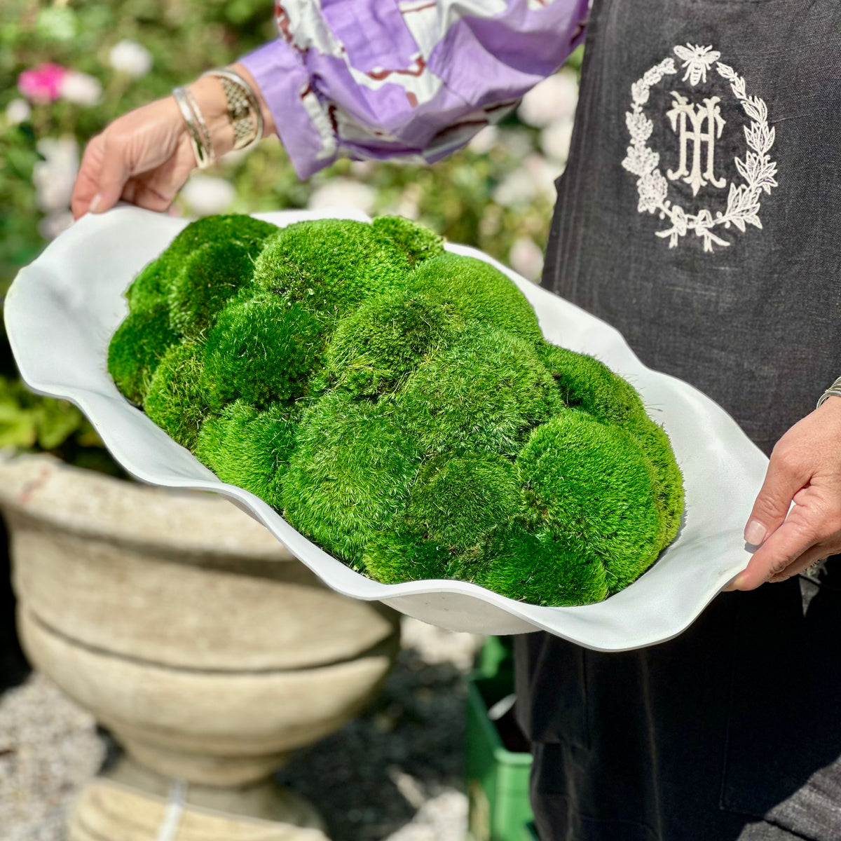 VIDA NUBE MOSS MOUND