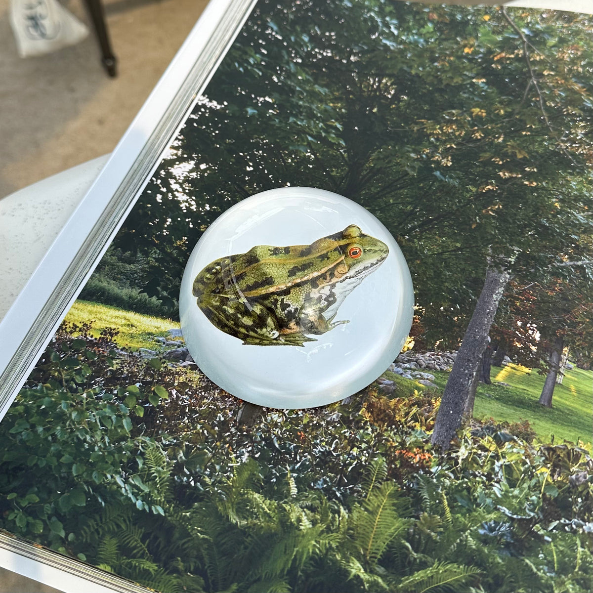 PAPER WEIGHTS