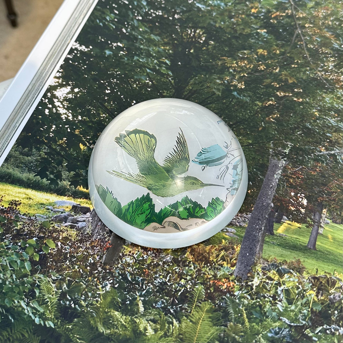 PAPER WEIGHTS