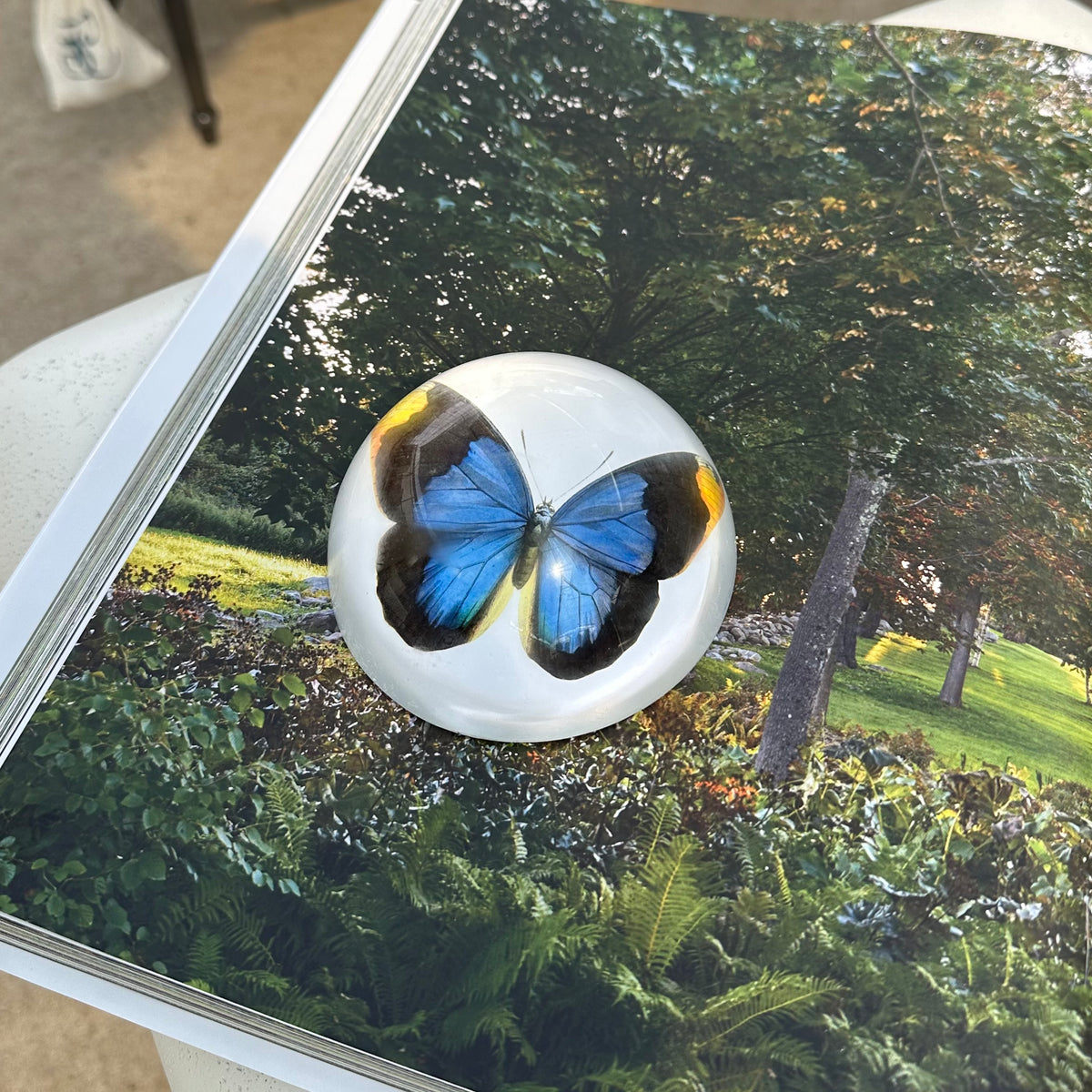 PAPER WEIGHTS