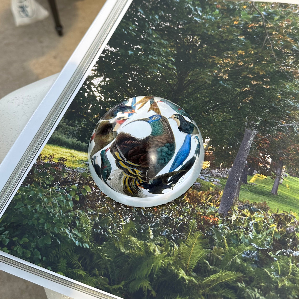 PAPER WEIGHTS