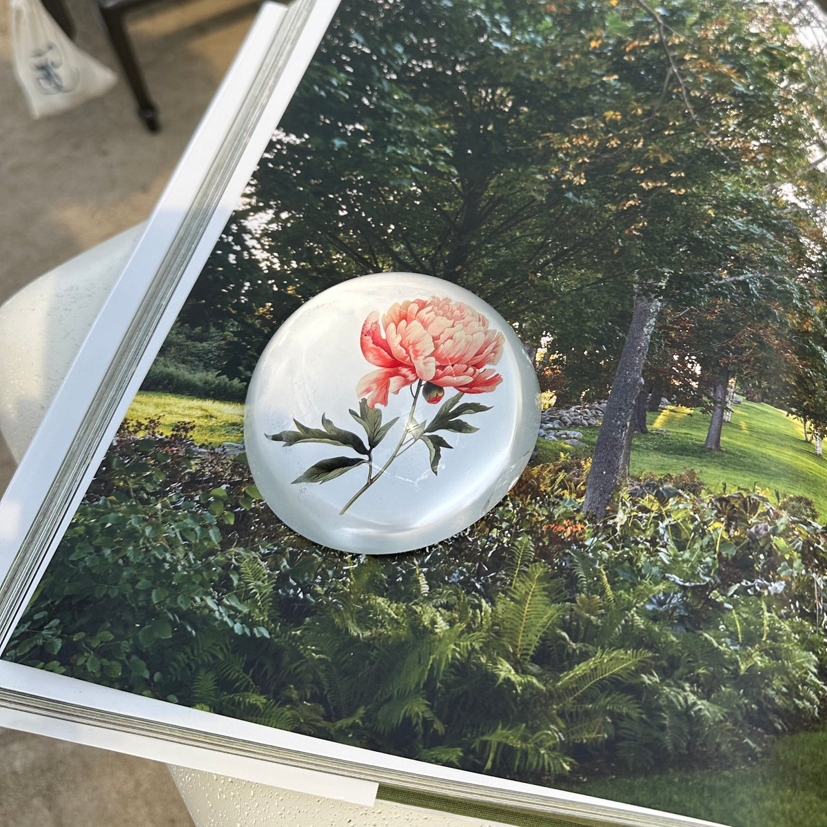 PAPER WEIGHTS