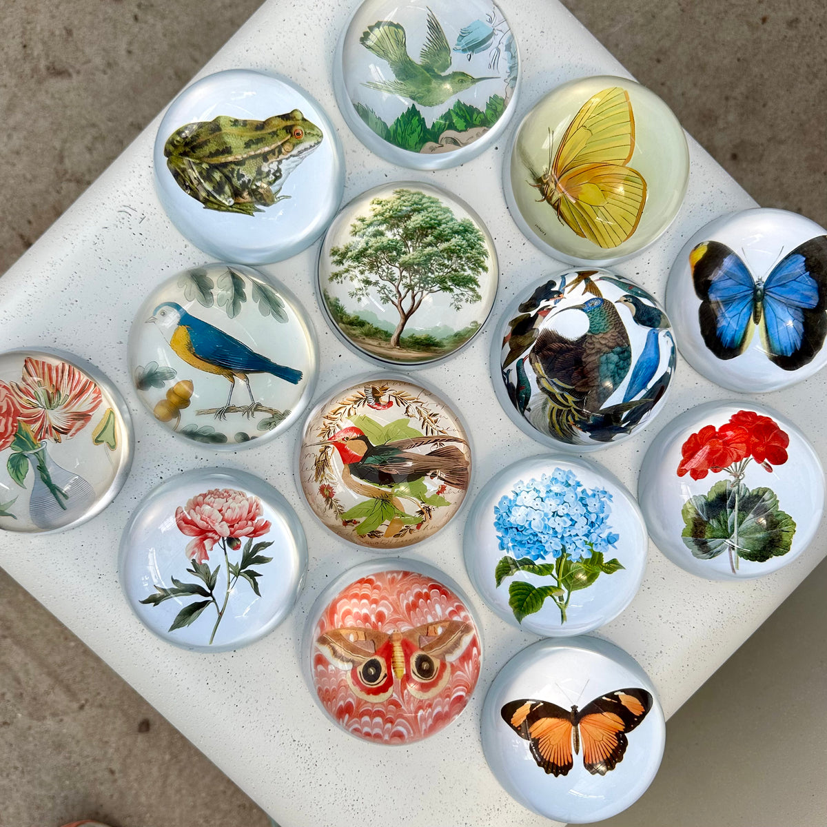 PAPER WEIGHTS
