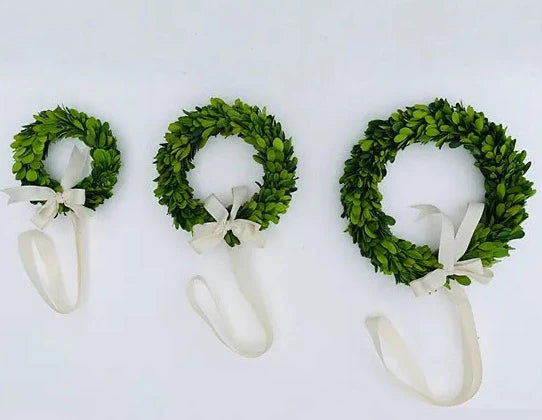 MINI BOXWOOD WREATHS
