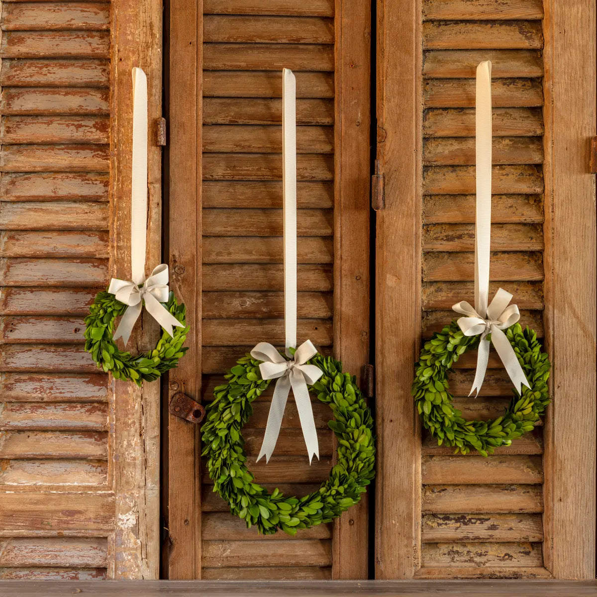MINI BOXWOOD WREATHS