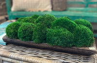 MOSS MOUND / MEDIUM
