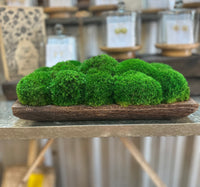 MOSS MOUND / LARGE