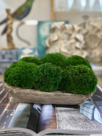 MOSS MOUND / EXTRA SMALL