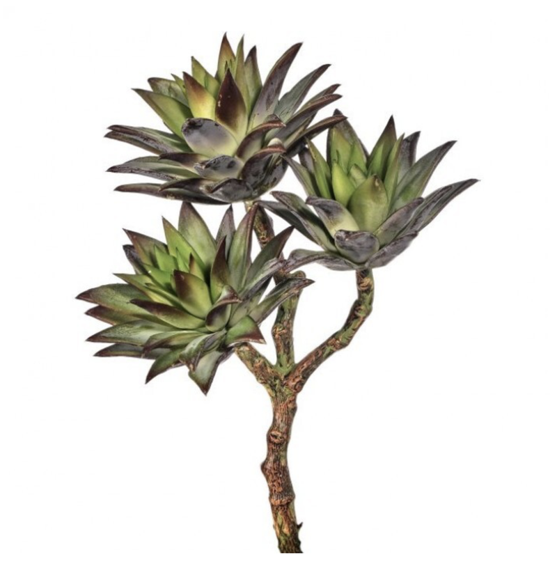 faux succulent picks 12" TRIPLE STAR SUCCULENT PICK – Millstone Market & Nursery