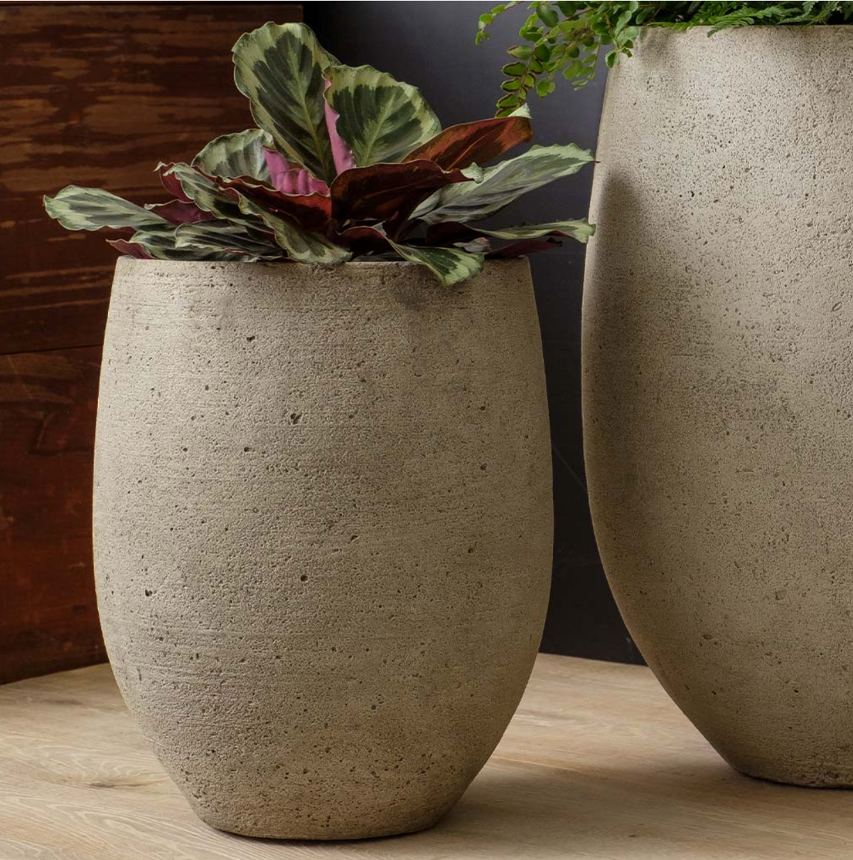 BEBEL PLANTER