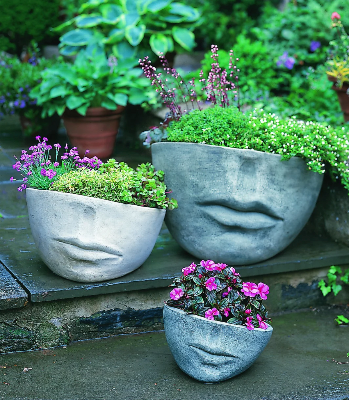 FACCIA PLANTER