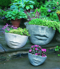 FACCIA PLANTER