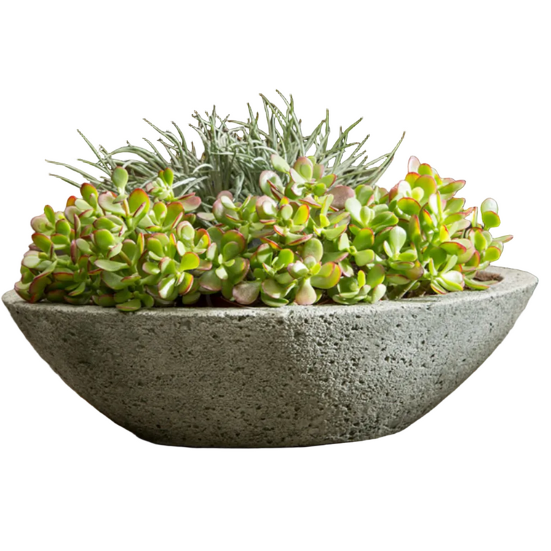 stone succulent planter CELINE PLANTER – Millstone Market & Nursery