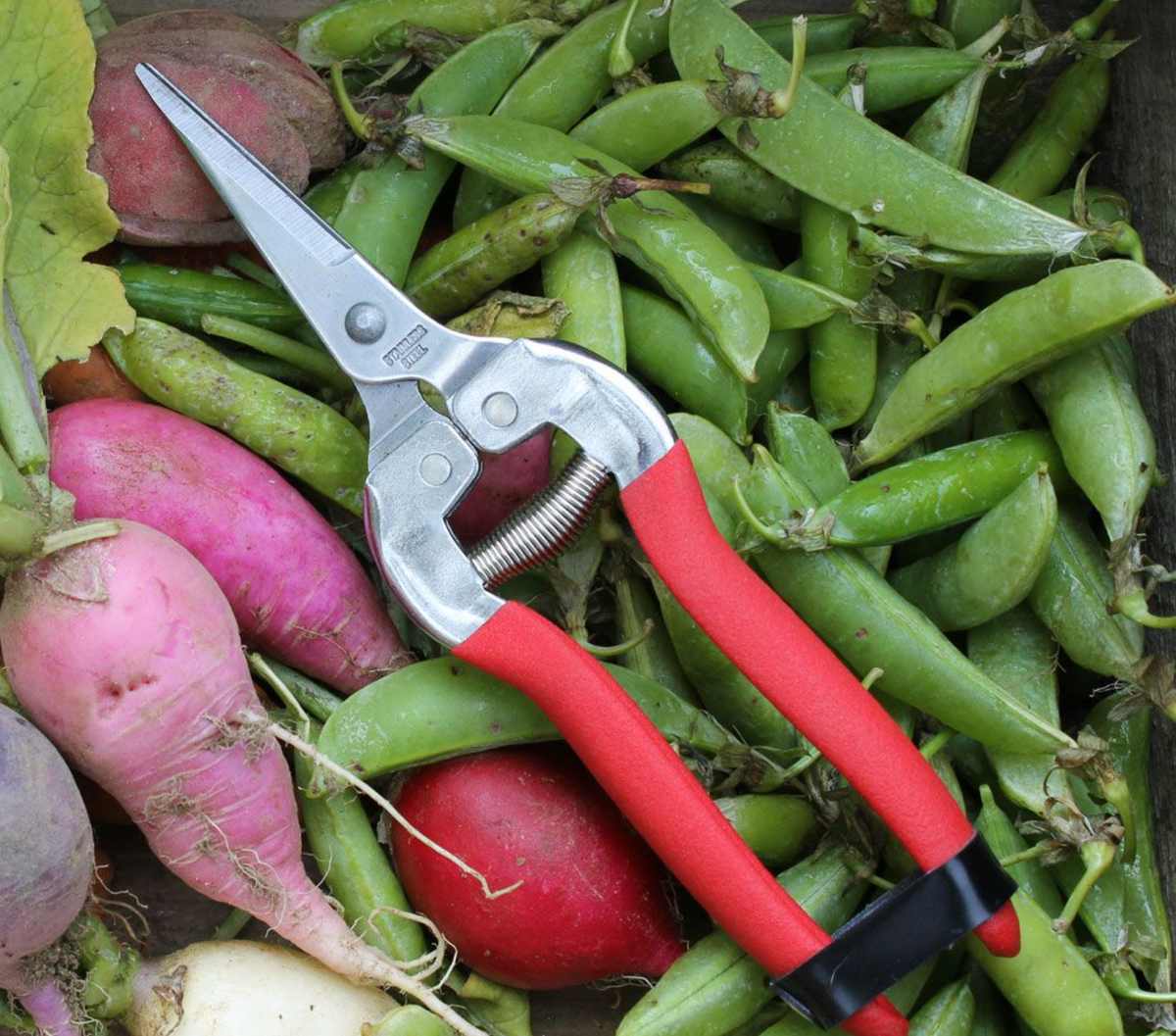 GARDENING SHEARS