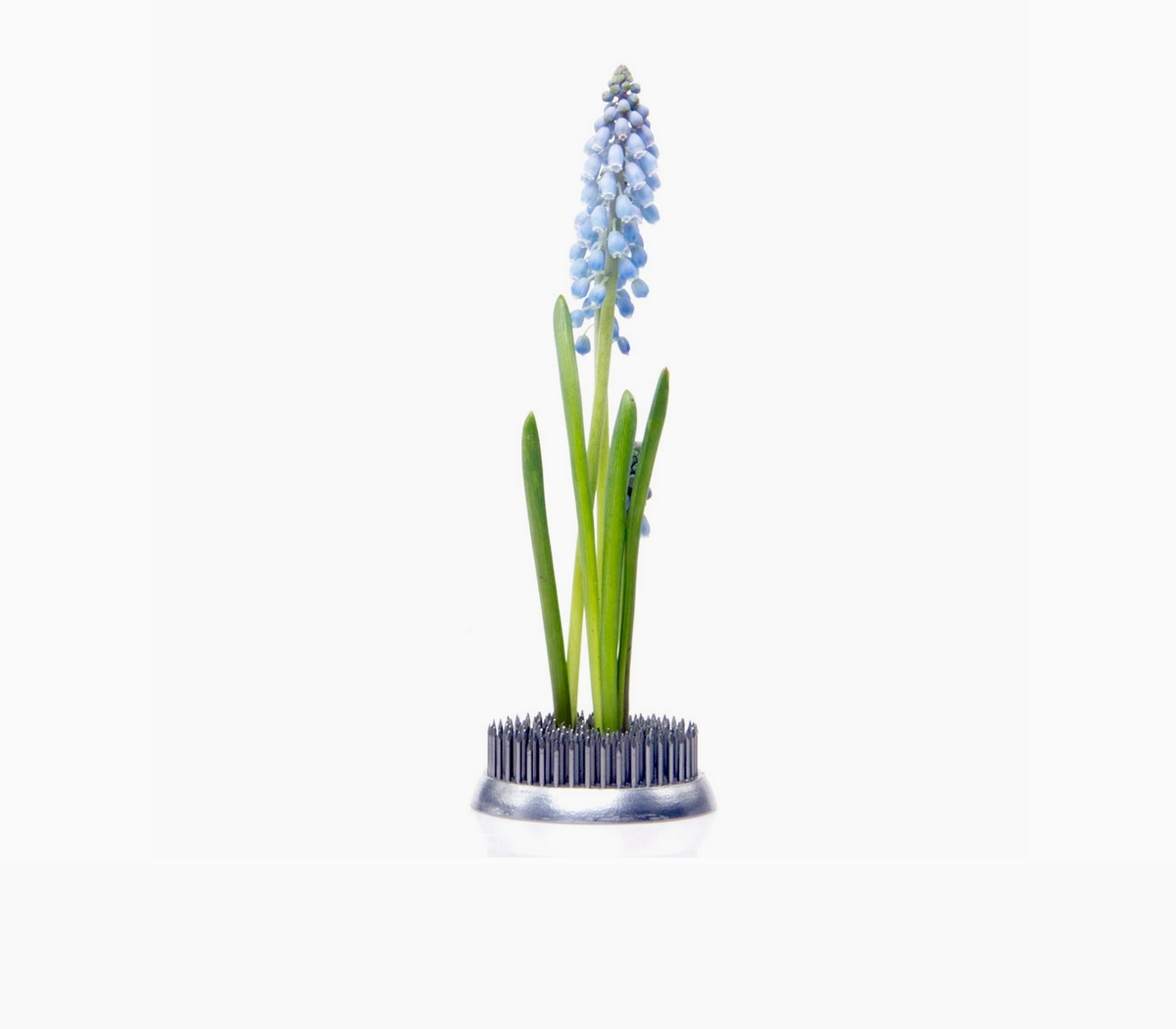KENZAN FLOWER FROG