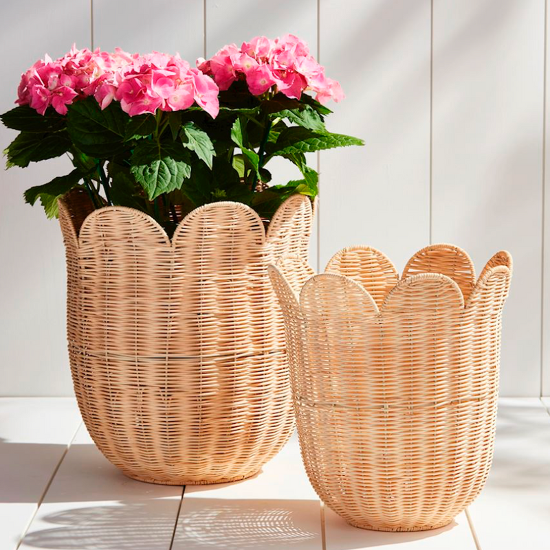baskets for plant pots SCALLOPED RATTAN BASKET – Millstone Market & Nursery