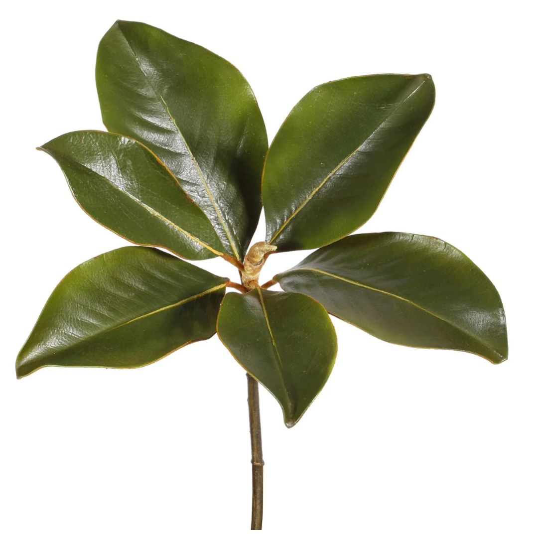 14" MAGNOLIA LEAF PICK