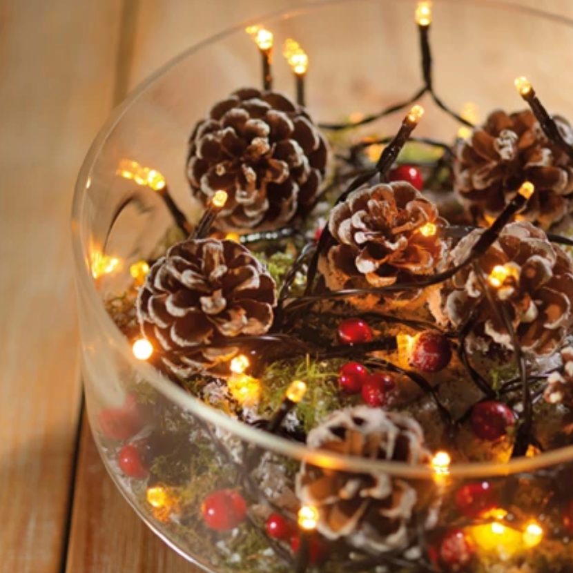 LED BATTERY TWINKLE LIGHTS