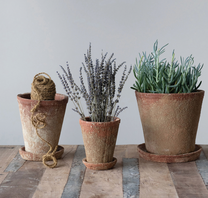 aged plant pots DISTRESSED TERRACOTTA POTS – Millstone Market & Nursery