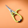 Pruning Shears
