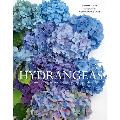 HYDRANGEAS: BEAUTIFUL VARIETIES FOR HOME & GARDEN