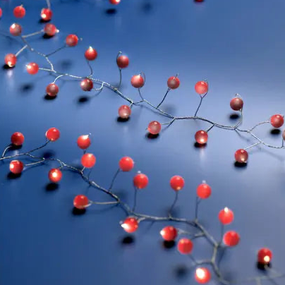 Red berry string lights with glowing bulbs on thin wire branches, arranged diagonally on a dark blue background.