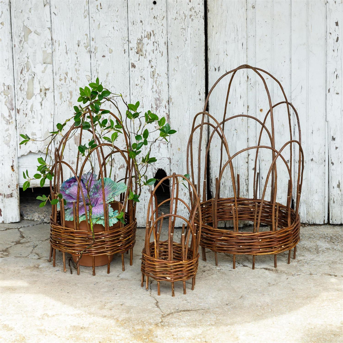 WOVEN WILLOW CLOCHE TRELLIS