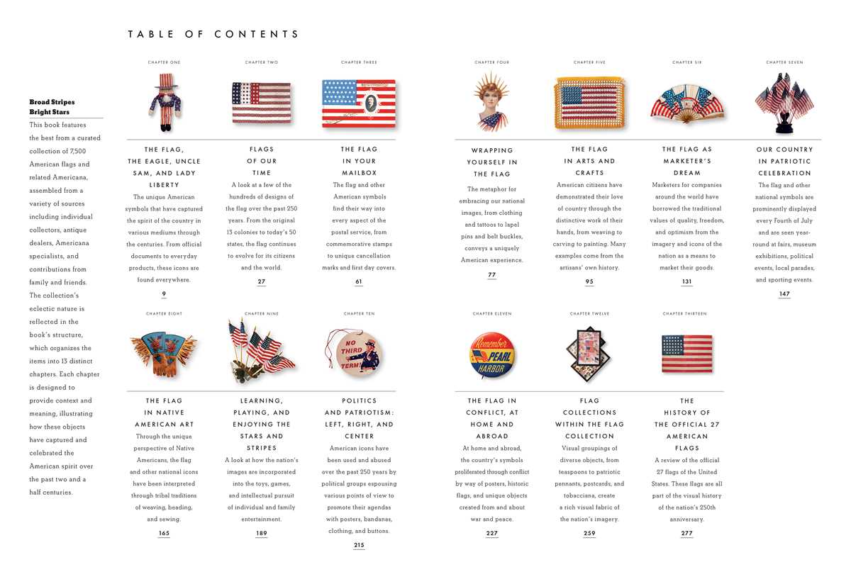 BROAD STRIPES BRIGHT STARS