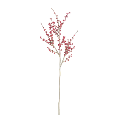 Red Berry Branch