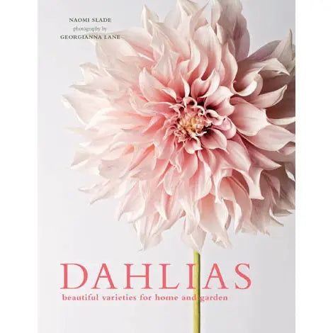 DAHLIAS: BEAUTIFUL VARIETIES FOR HOME & GARDEN